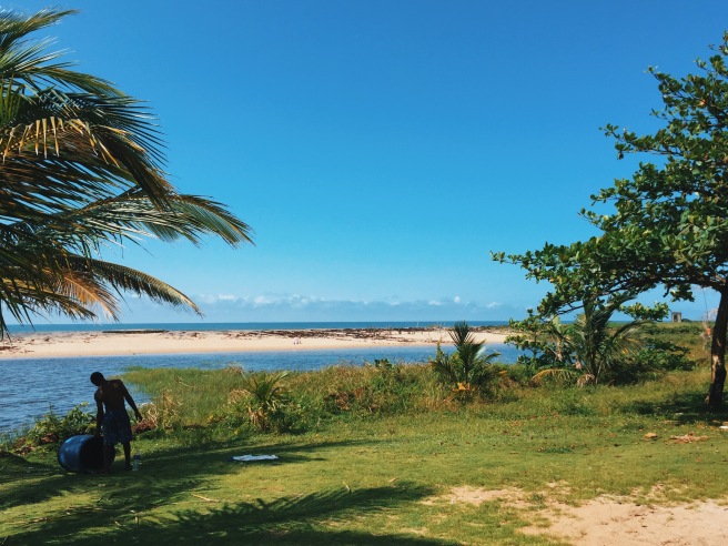 Debut ombak, pohon kelapa. Lukisan generik pantai dan lautan
